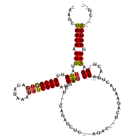 secondary structure
