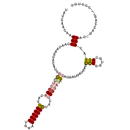secondary structure