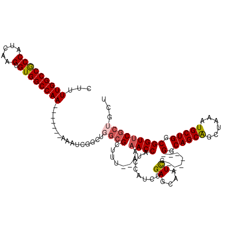 secondary structure