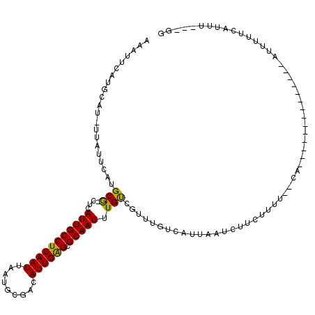 secondary structure