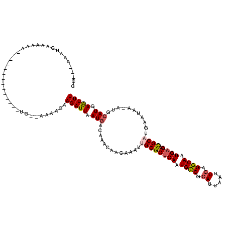 secondary structure