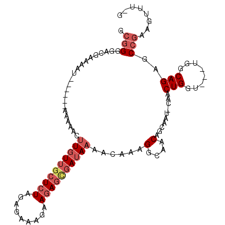secondary structure