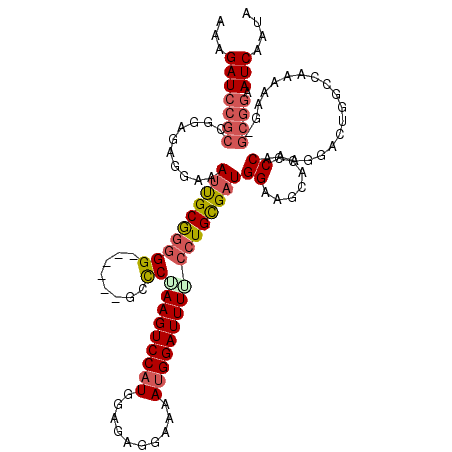 secondary structure
