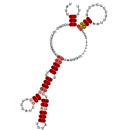 secondary structure