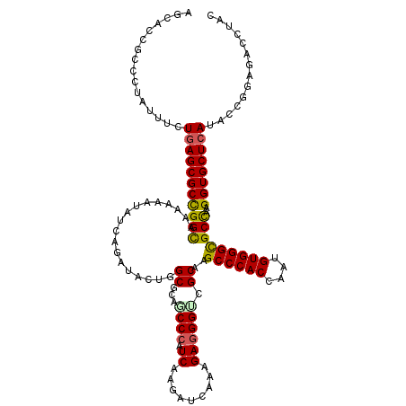 secondary structure
