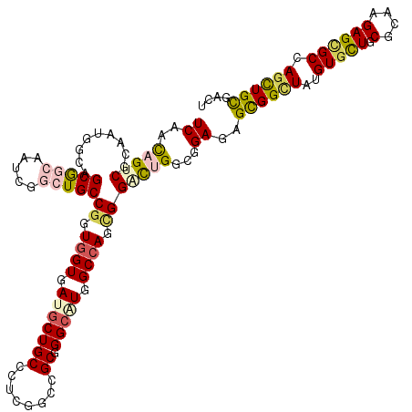 secondary structure
