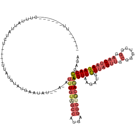 secondary structure