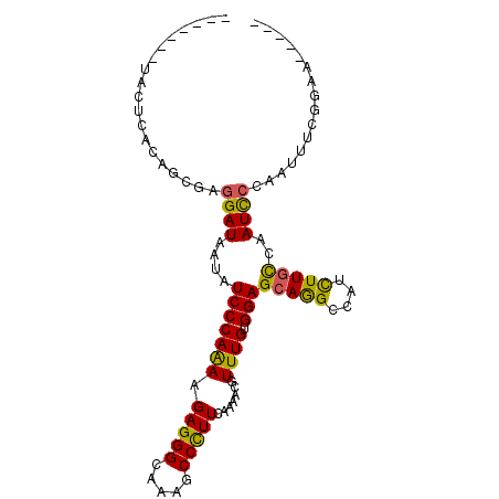 secondary structure