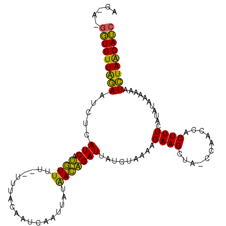 secondary structure