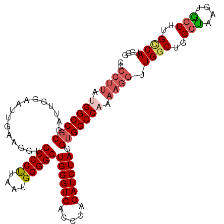 secondary structure