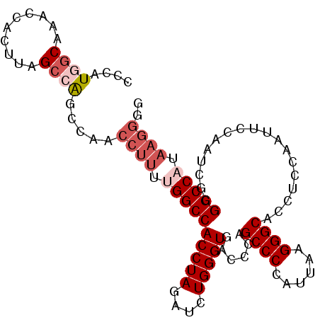 secondary structure