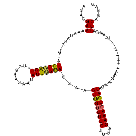 secondary structure