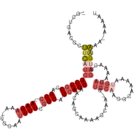 secondary structure