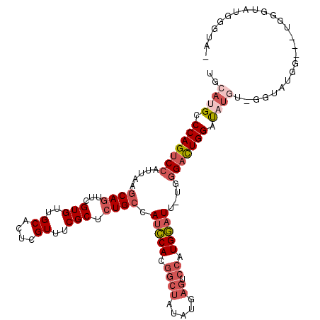 secondary structure