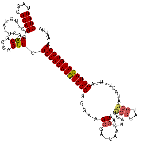 secondary structure