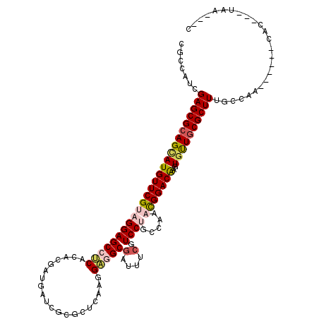 secondary structure