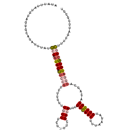 secondary structure