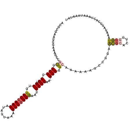 secondary structure