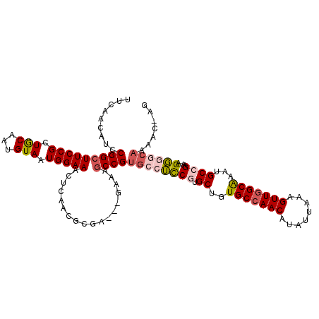 secondary structure
