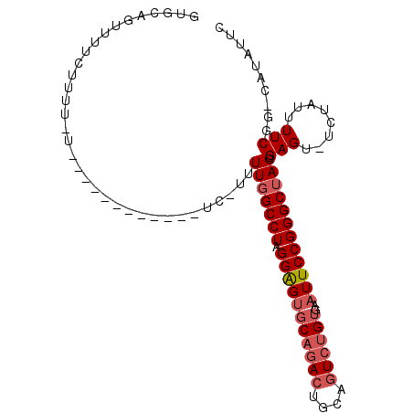 secondary structure