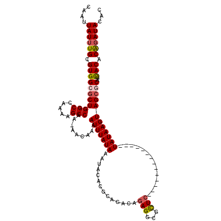 secondary structure
