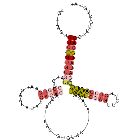 secondary structure