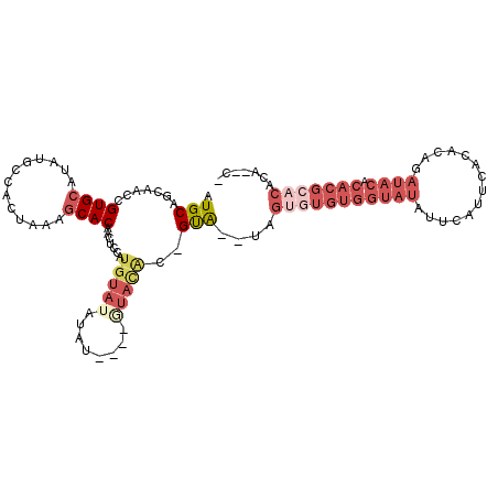 secondary structure