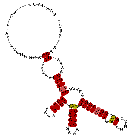 secondary structure