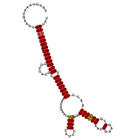 secondary structure
