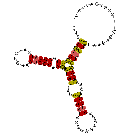 secondary structure