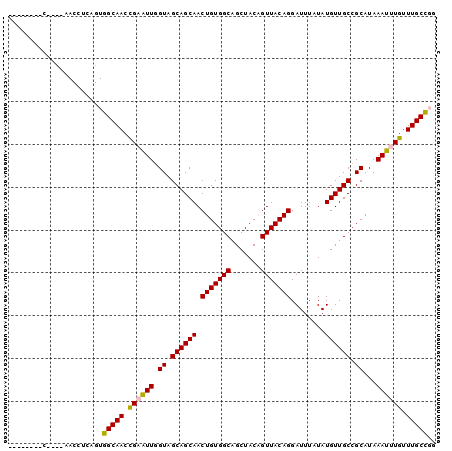 dotplot