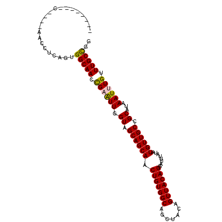 secondary structure