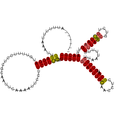 secondary structure