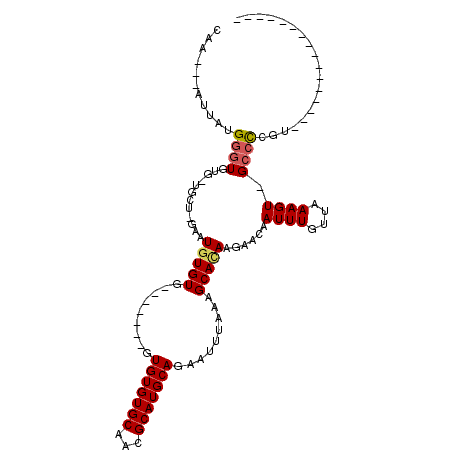 secondary structure