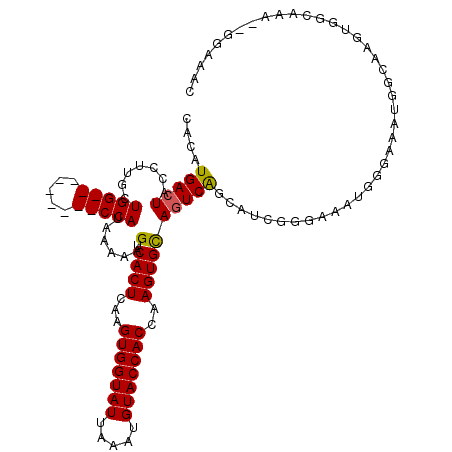 secondary structure