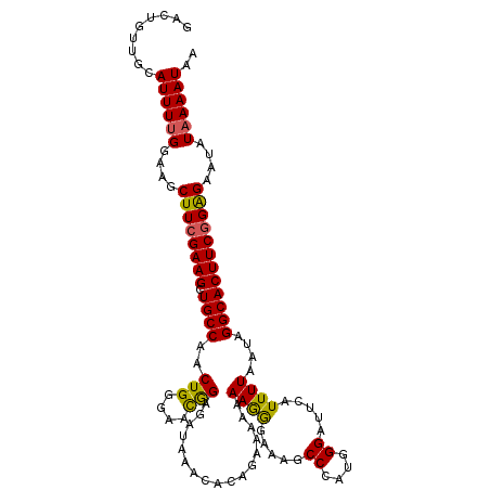 secondary structure
