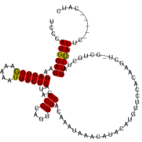 secondary structure