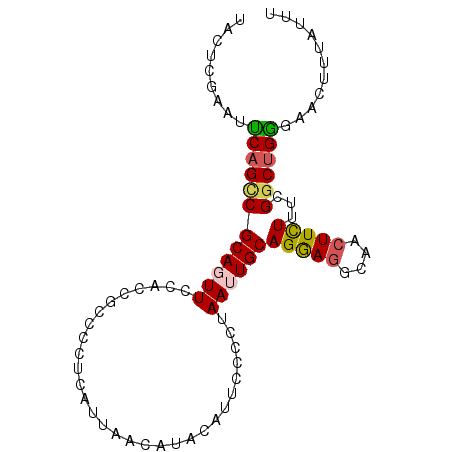 secondary structure