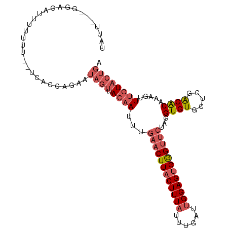 secondary structure