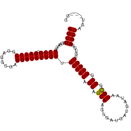 secondary structure