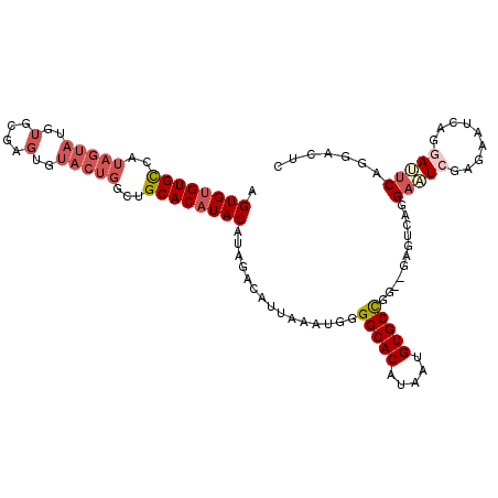 secondary structure