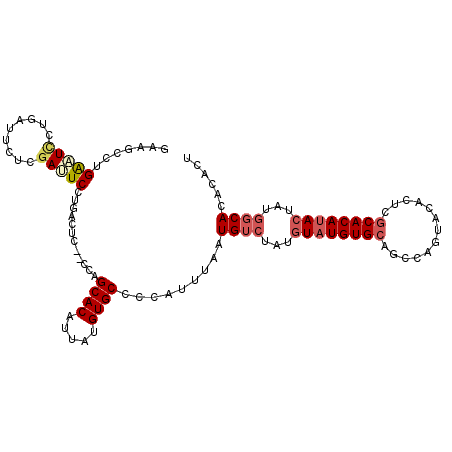 secondary structure