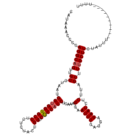 secondary structure