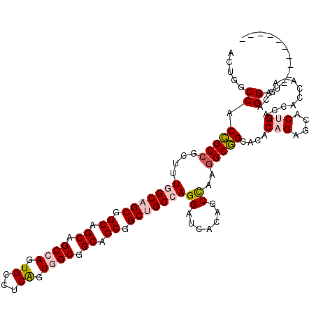 secondary structure