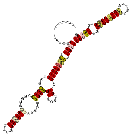 secondary structure