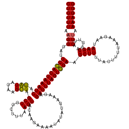 secondary structure