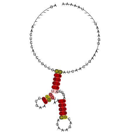 secondary structure