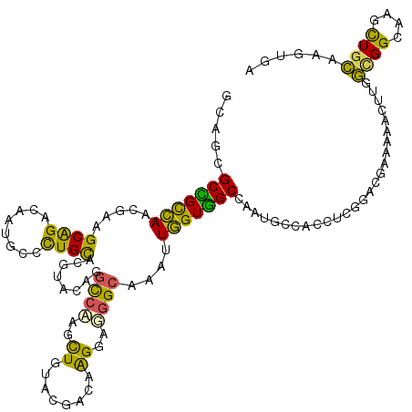 secondary structure