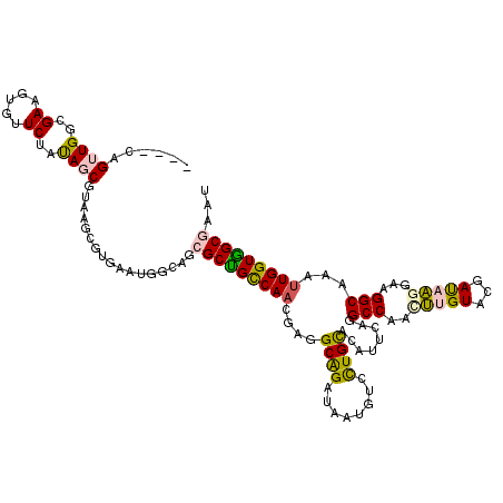 secondary structure
