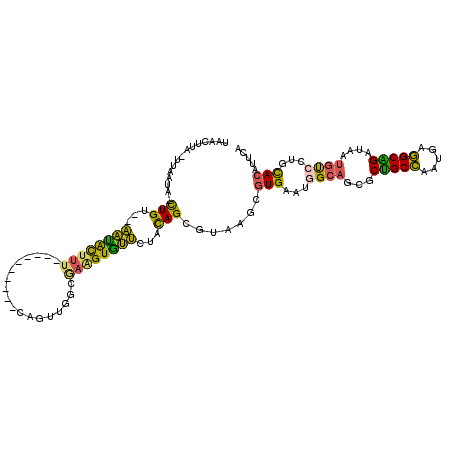 secondary structure